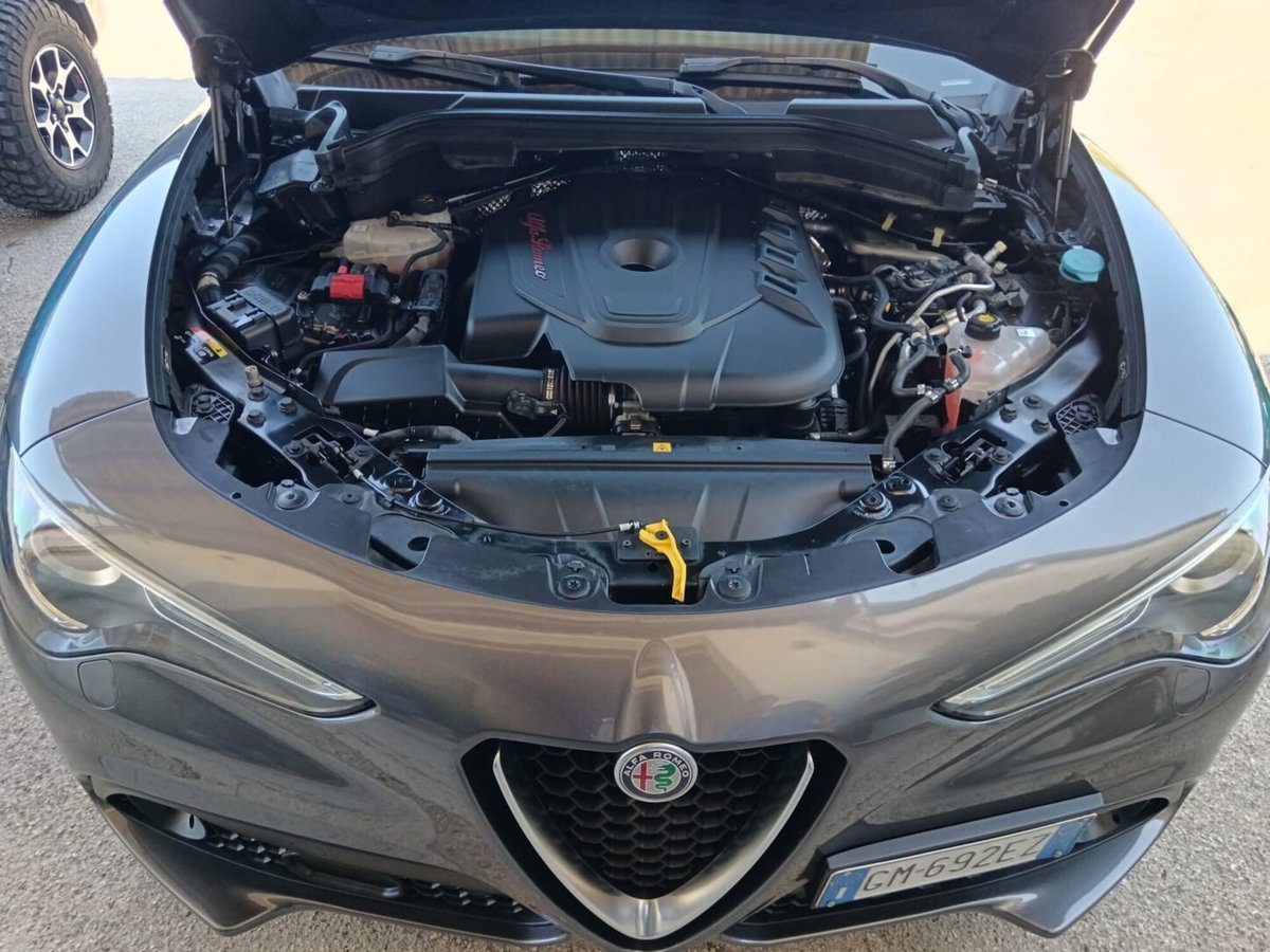 Alfa Romeo Stelvio Stelvio 2.2 Turbodiesel 190 CV AT8 Q4 Business (16)