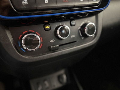 Dacia Spring Business Electric 45 (12)