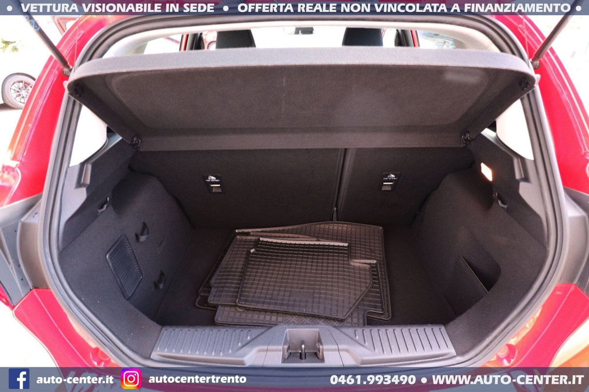 Ford Fiesta Active 1.0 Ecoboost 100 CV (15)