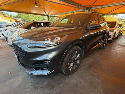 Ford Kuga 2.0 EcoBlue 120 CV aut. 2WD ST-Line X usata