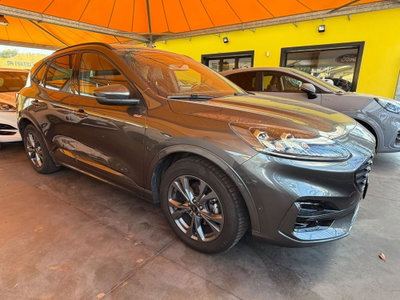 Ford Kuga 2.0 EcoBlue 120 CV aut. 2WD ST-Line X (3)