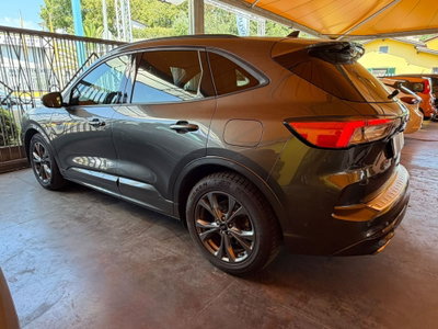 Ford Kuga 2.0 EcoBlue 120 CV aut. 2WD ST-Line X (4)