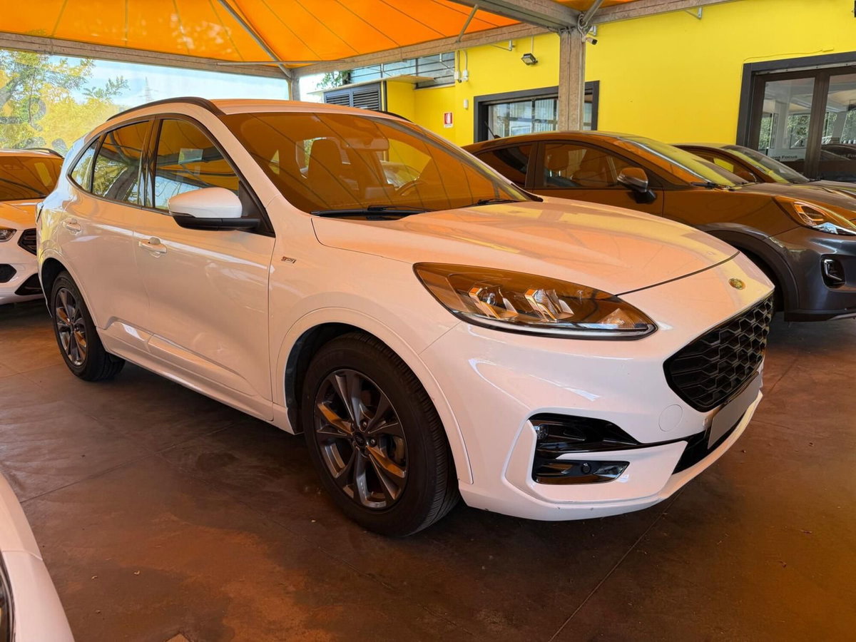 Ford Kuga 2.0 EcoBlue Hybrid 150 CV 2WD ST-Line