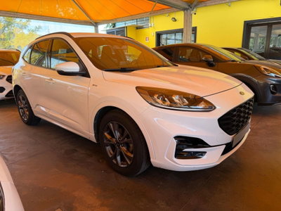 Ford Kuga 2.0 EcoBlue Hybrid 150 CV 2WD ST-Line usata