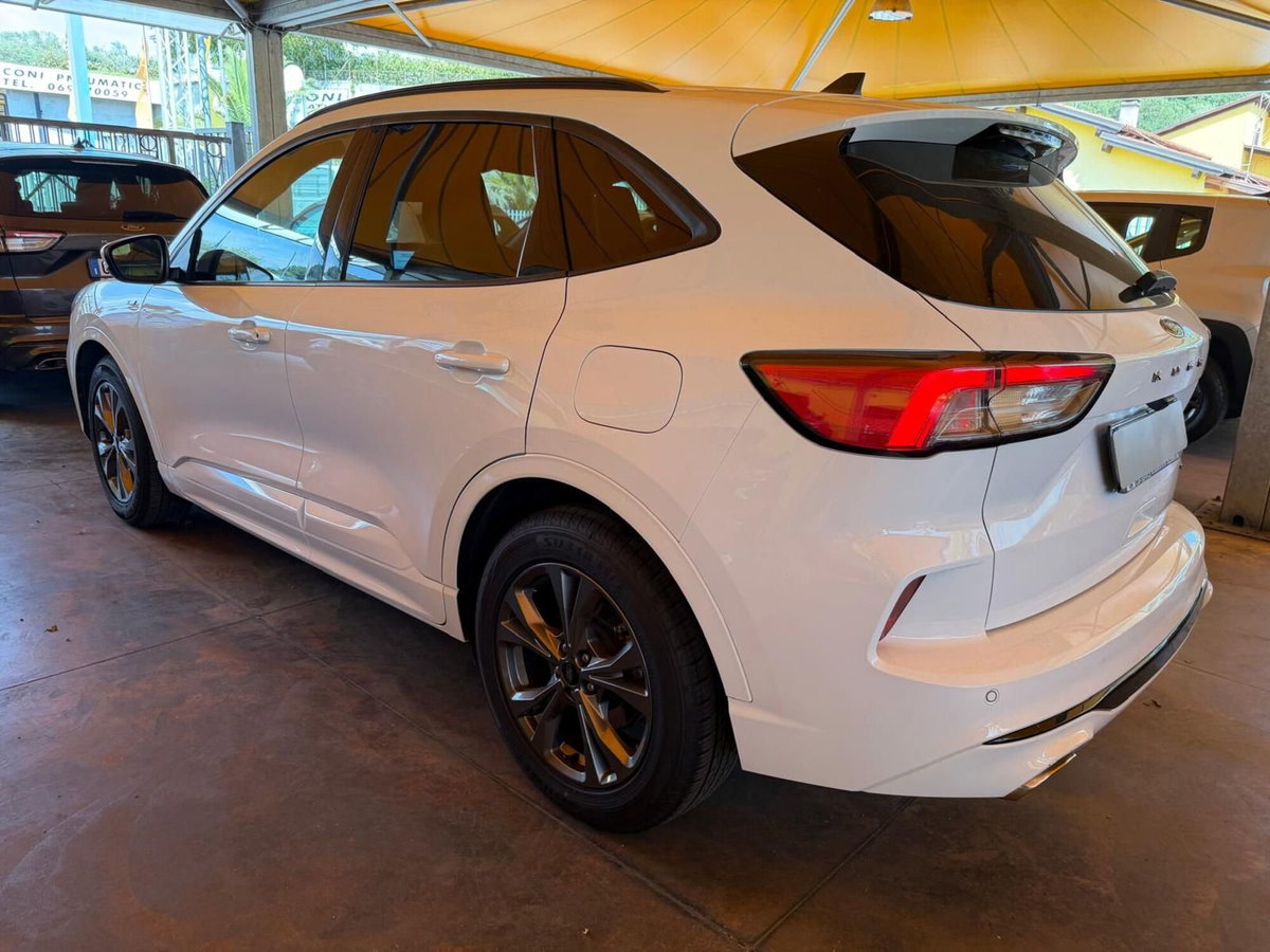 Ford Kuga 2.0 EcoBlue Hybrid 150 CV 2WD ST-Line (2)