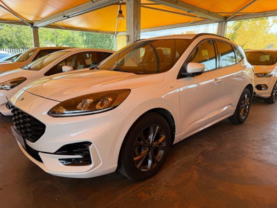 Ford Kuga 2.0 EcoBlue Hybrid 150 CV 2WD ST-Line (3)