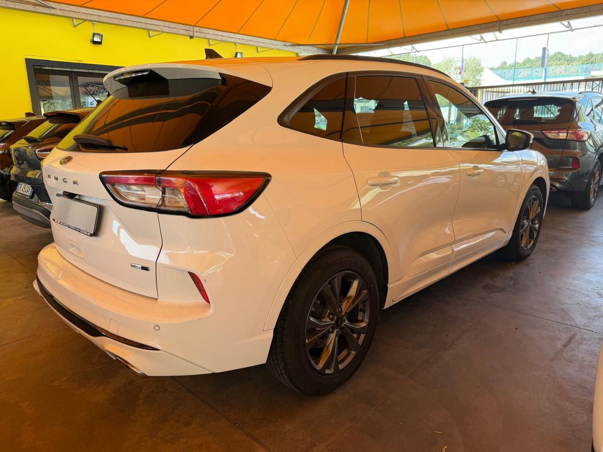 Ford Kuga 2.0 EcoBlue Hybrid 150 CV 2WD ST-Line (4)