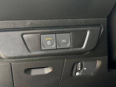 Dacia Sandero Stepway 1.2 Eco-G Expression 120cv auto (16)