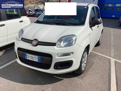 Fiat Panda 1.2 Pop usata