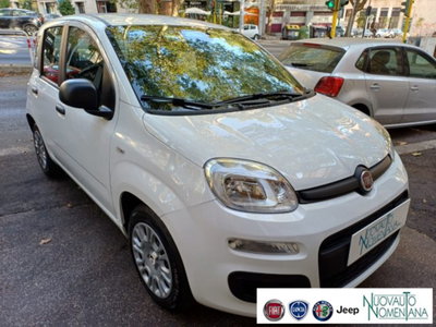 Fiat Panda 1.0 firefly hybrid s&s 70cv 5p.ti (5)