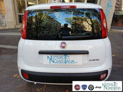 Fiat Panda 1.0 firefly hybrid s&s 70cv 5p.ti (8)