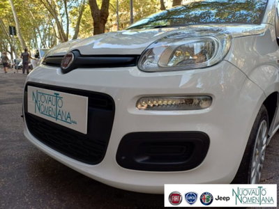 Fiat Panda 1.0 firefly hybrid s&s 70cv 5p.ti (2)