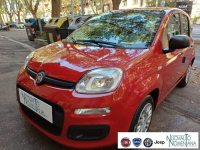 Fiat Panda 1.0 firefly hybrid s&s 70cv 5p.ti (2)
