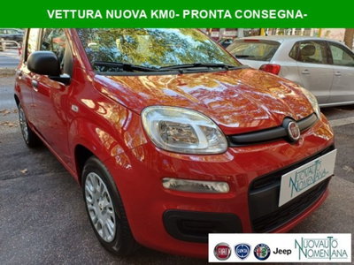 Fiat Panda 1.0 firefly hybrid s&s 70cv 5p.ti nuova