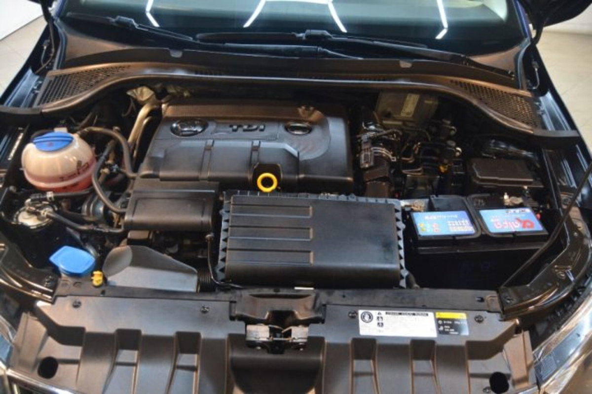 Skoda Fabia 1.4 TDI 90 CV Business (15)