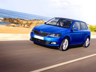 Skoda Fabia 1.4 TDI 90 CV Business (16)