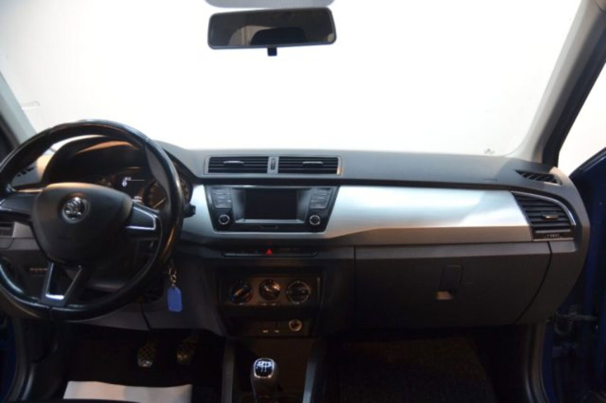 Skoda Fabia 1.4 TDI 90 CV Business (7)