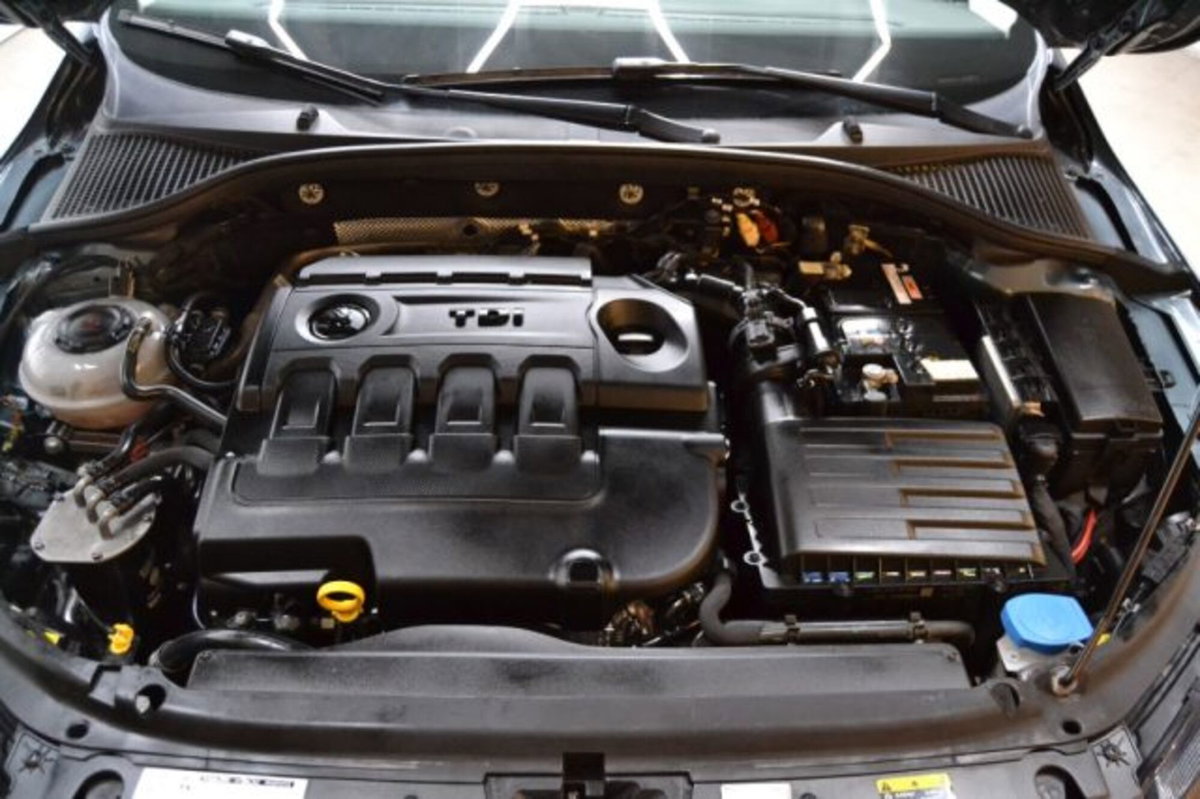 Skoda Octavia 1.6 TDI SCR 115 CV Executive (15)