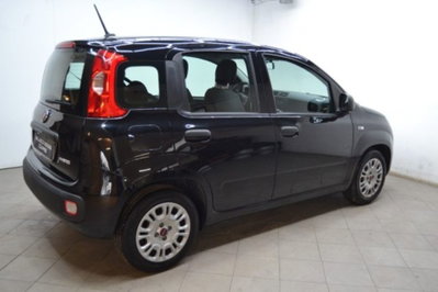 Fiat Panda 1.0 firefly hybrid s&s 70cv 5p.ti (4)