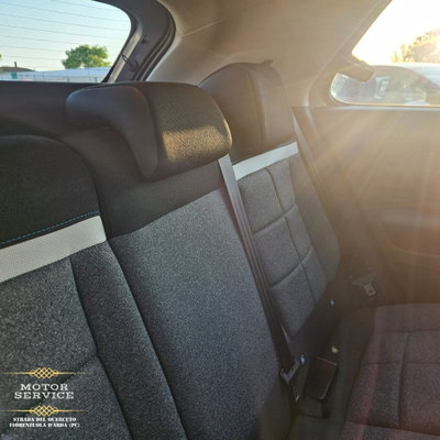 Citroen C4 Cactus PureTech 110 S&S Shine (19)