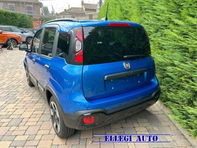Fiat Pandina 1.0 firefly hybrid s&s 65cv (5)