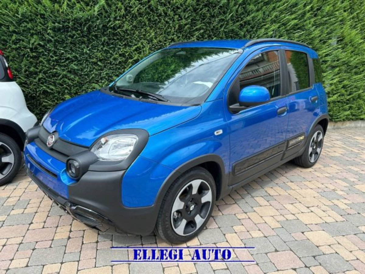 Fiat Pandina 1.0 firefly hybrid s&s 65cv (8)