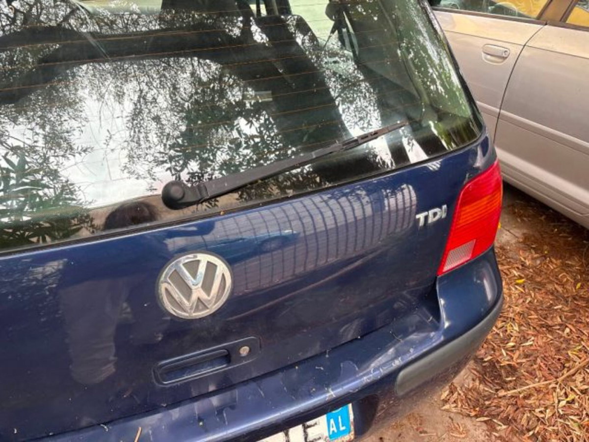 Volkswagen Golf 1.9 TDI/101 CV cat 3p. Comfortline (4)