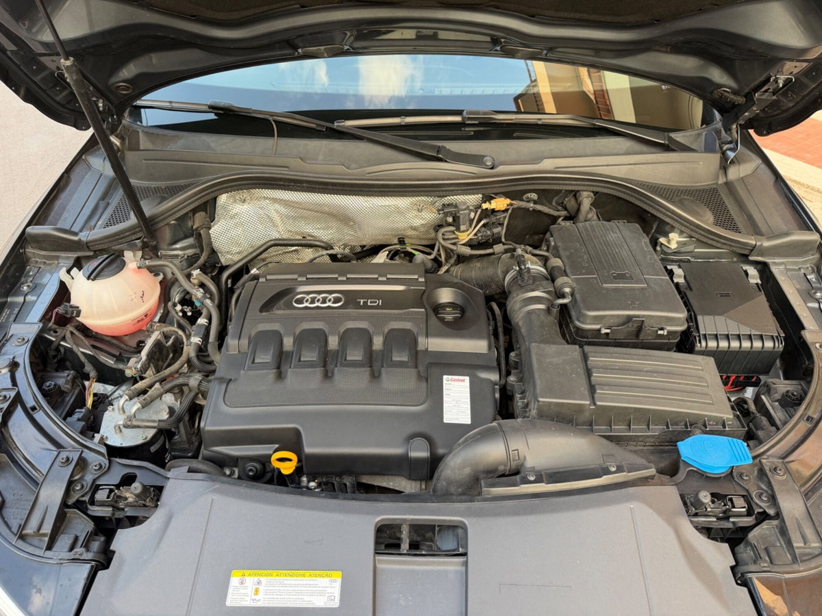 Audi Q3 2.0 TDI 150 CV quattro S tronic Design (19)