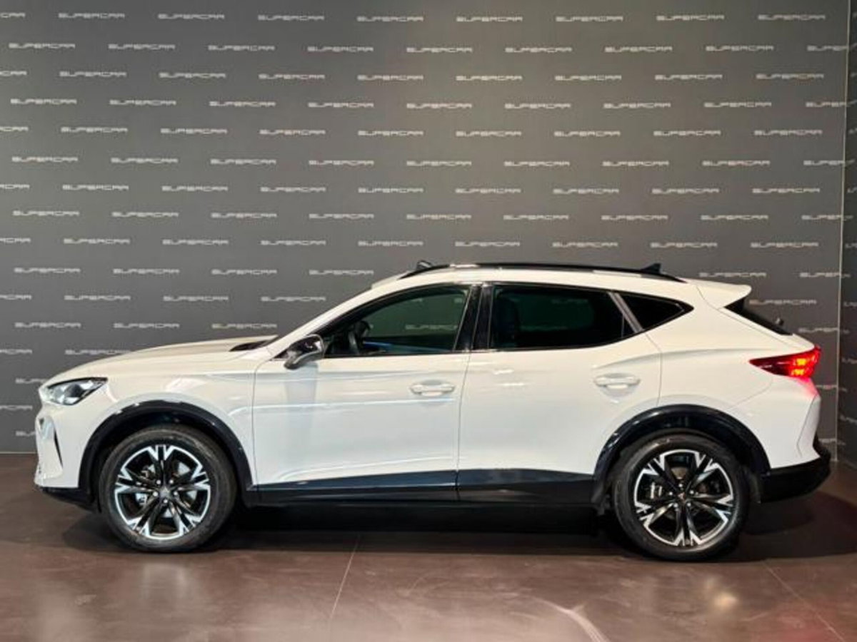 Cupra Formentor Formentor 1.5 TSI (5)