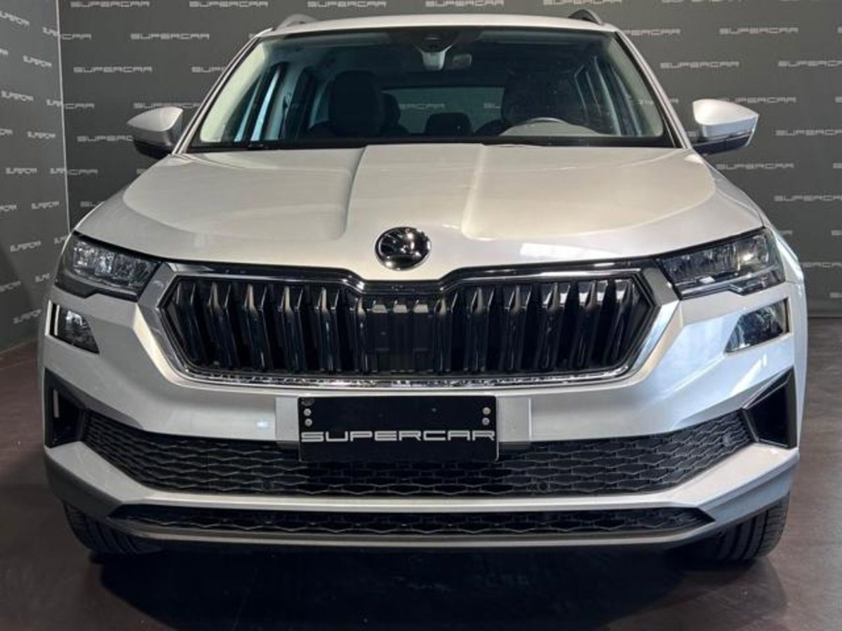 Skoda Karoq 2.0 TDI EVO SCR 115 CV DSG Executive (2)
