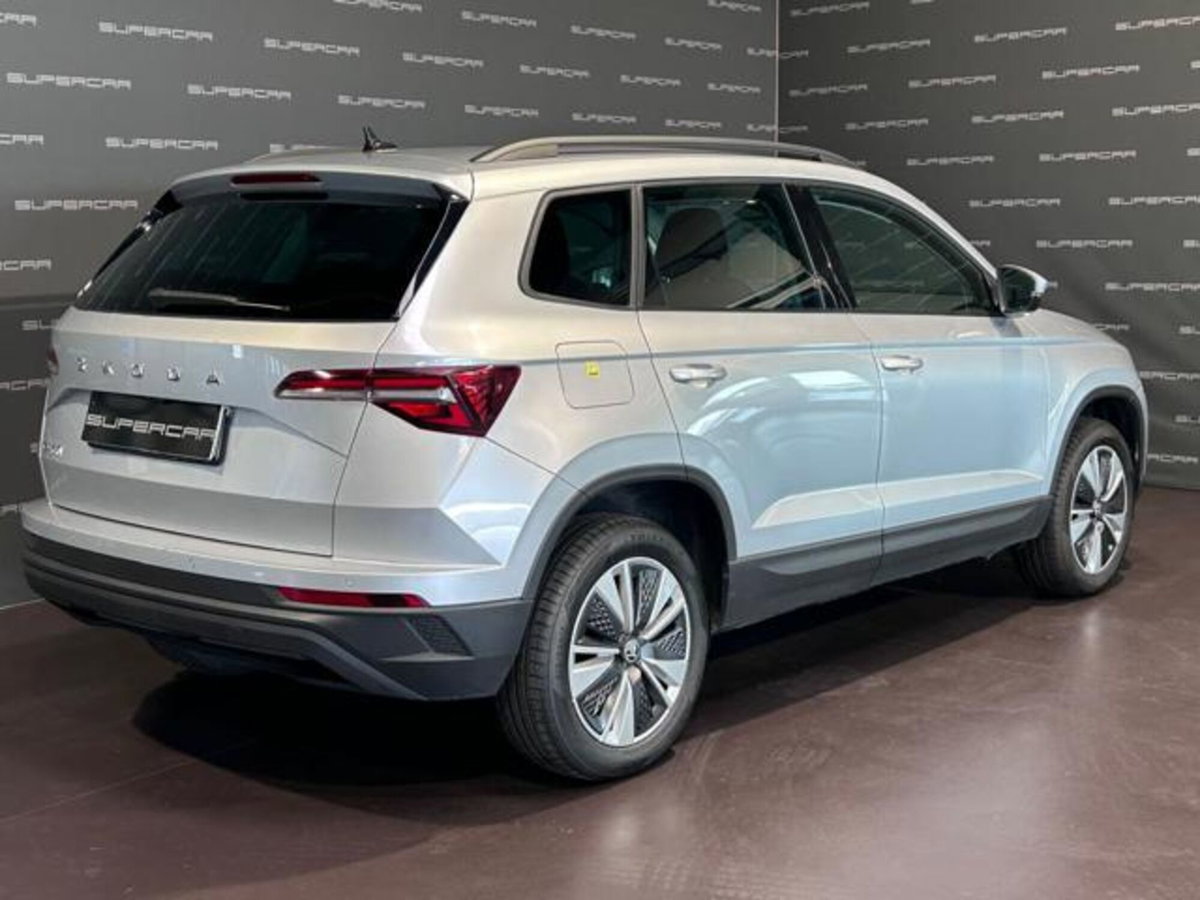 Skoda Karoq 2.0 TDI EVO SCR 115 CV DSG Executive (3)