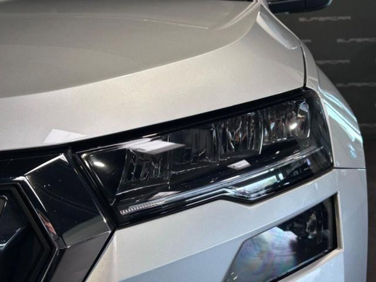 Skoda Karoq 2.0 TDI EVO SCR 115 CV DSG Executive (6)