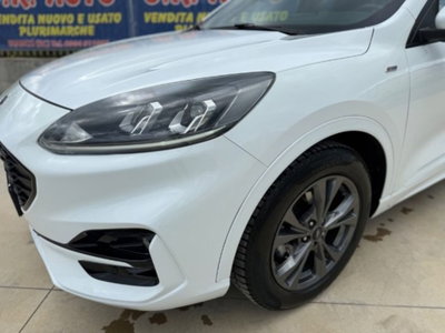 Ford Kuga 1.5 EcoBlue 120 CV 2WD ST-Line (10)