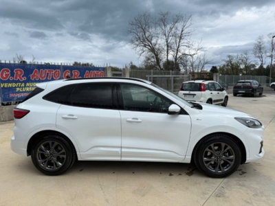 Ford Kuga 1.5 EcoBlue 120 CV 2WD ST-Line (4)