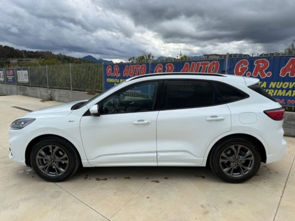 Ford Kuga 1.5 EcoBlue 120 CV 2WD ST-Line (5)
