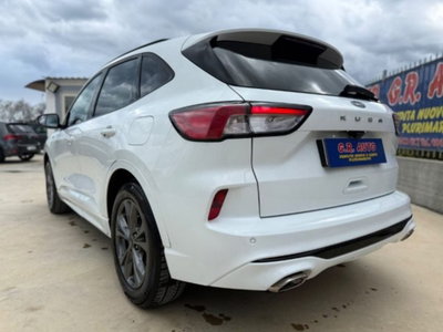 Ford Kuga 1.5 EcoBlue 120 CV 2WD ST-Line (7)