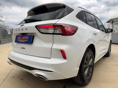 Ford Kuga 1.5 EcoBlue 120 CV 2WD ST-Line (8)