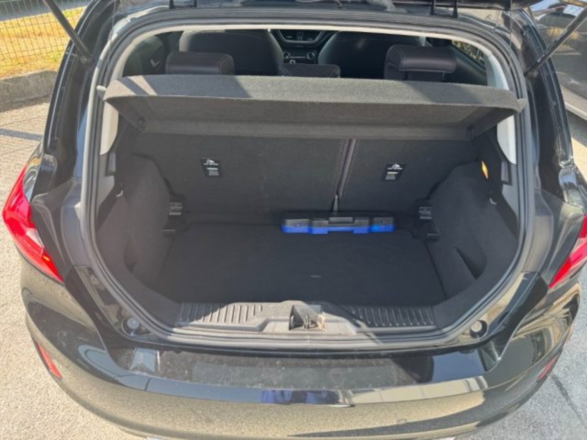 Ford Fiesta 1.5 TDCi 5 porte Vignale (15)