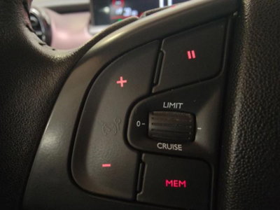Citroen C4 Cactus PureTech 110 S&S Shine (17)