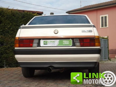 Alfa Romeo 75 2.0 (7)