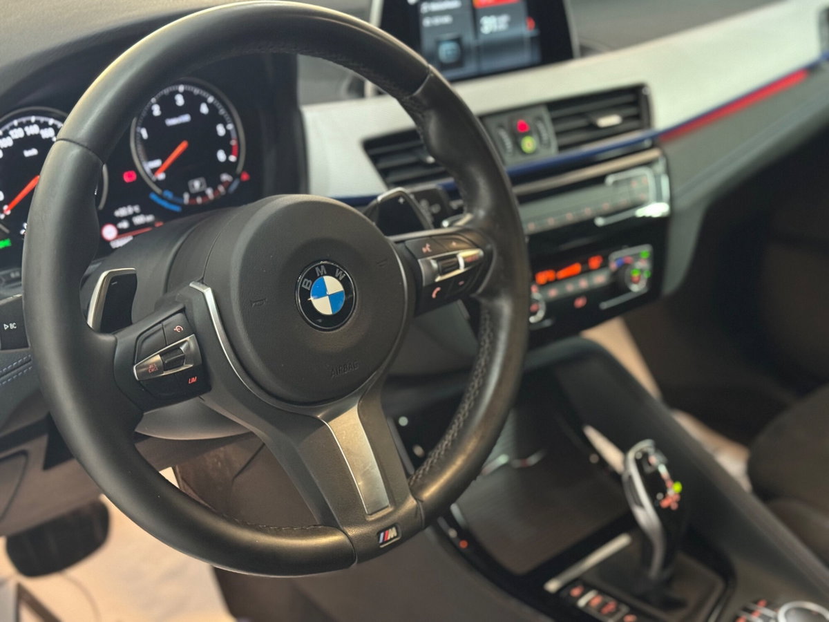 BMW X2 sDrive18d Msport-X (12)