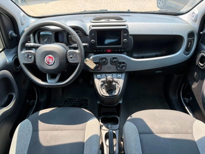 Fiat Panda Cross Cross 1.0 FireFly S&S Hybrid (5)