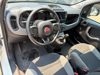 Fiat Panda Cross Cross 1.0 FireFly S&S Hybrid (7)