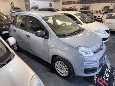 Fiat Panda 1.2 Easy usata