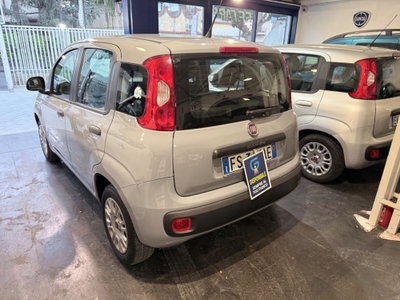 Fiat Panda 1.2 Easy (3)