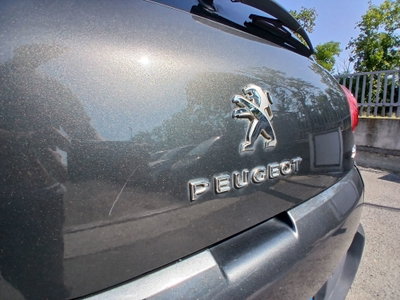 Peugeot 3008 BlueHDi 120 EAT6 S&S Business (13)