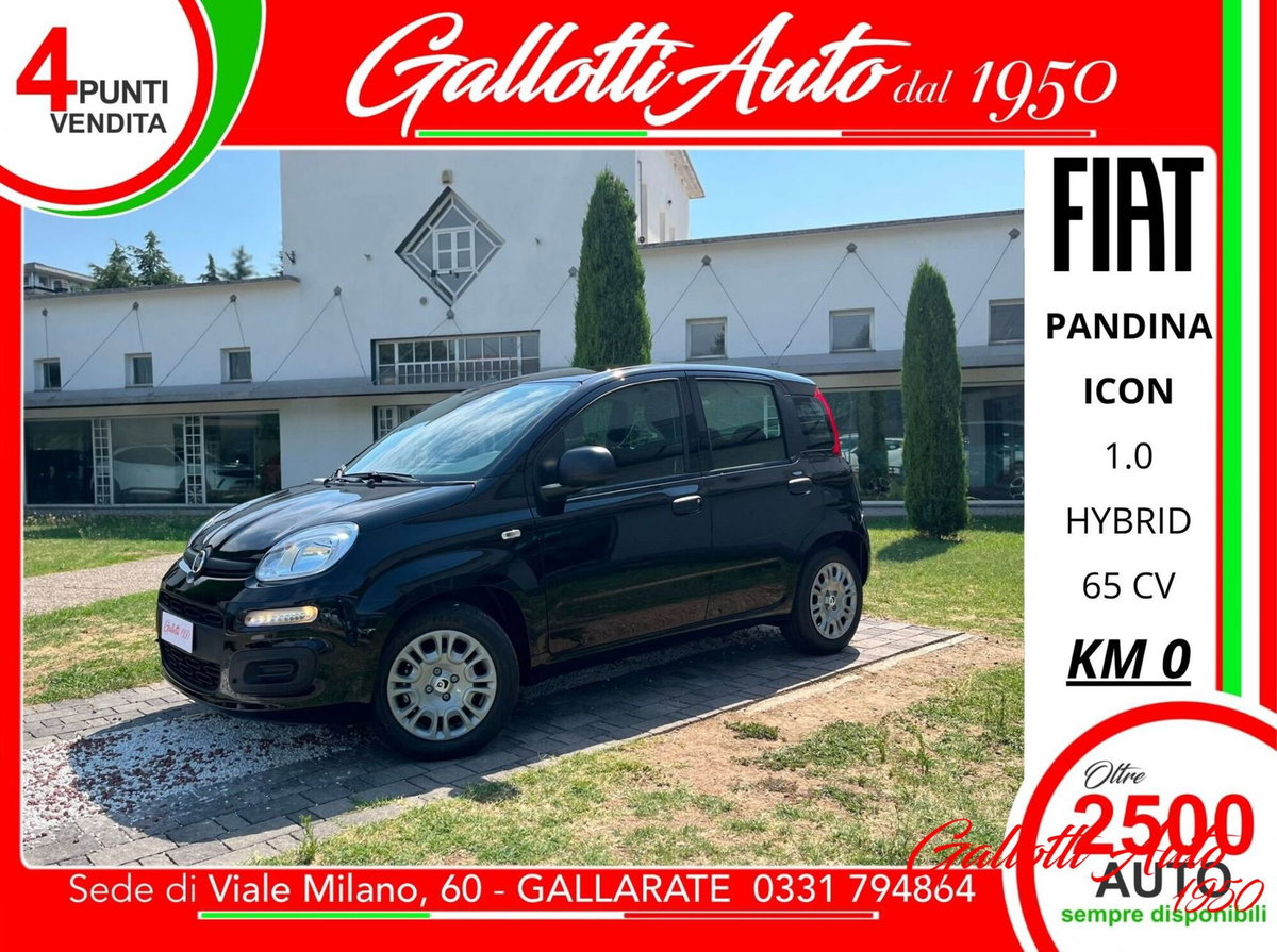 Fiat Pandina 1.0 firefly hybrid Icon s&s 65cv