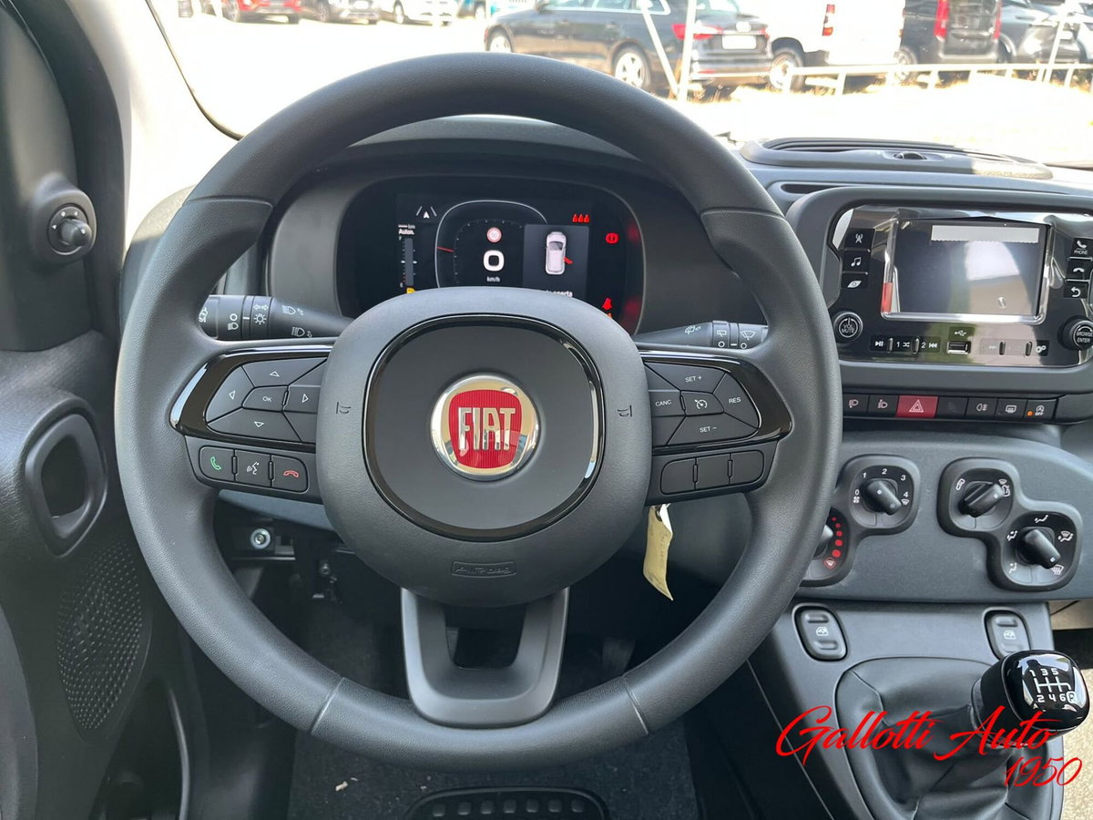 Fiat Pandina 1.0 firefly hybrid Icon s&s 65cv (11)