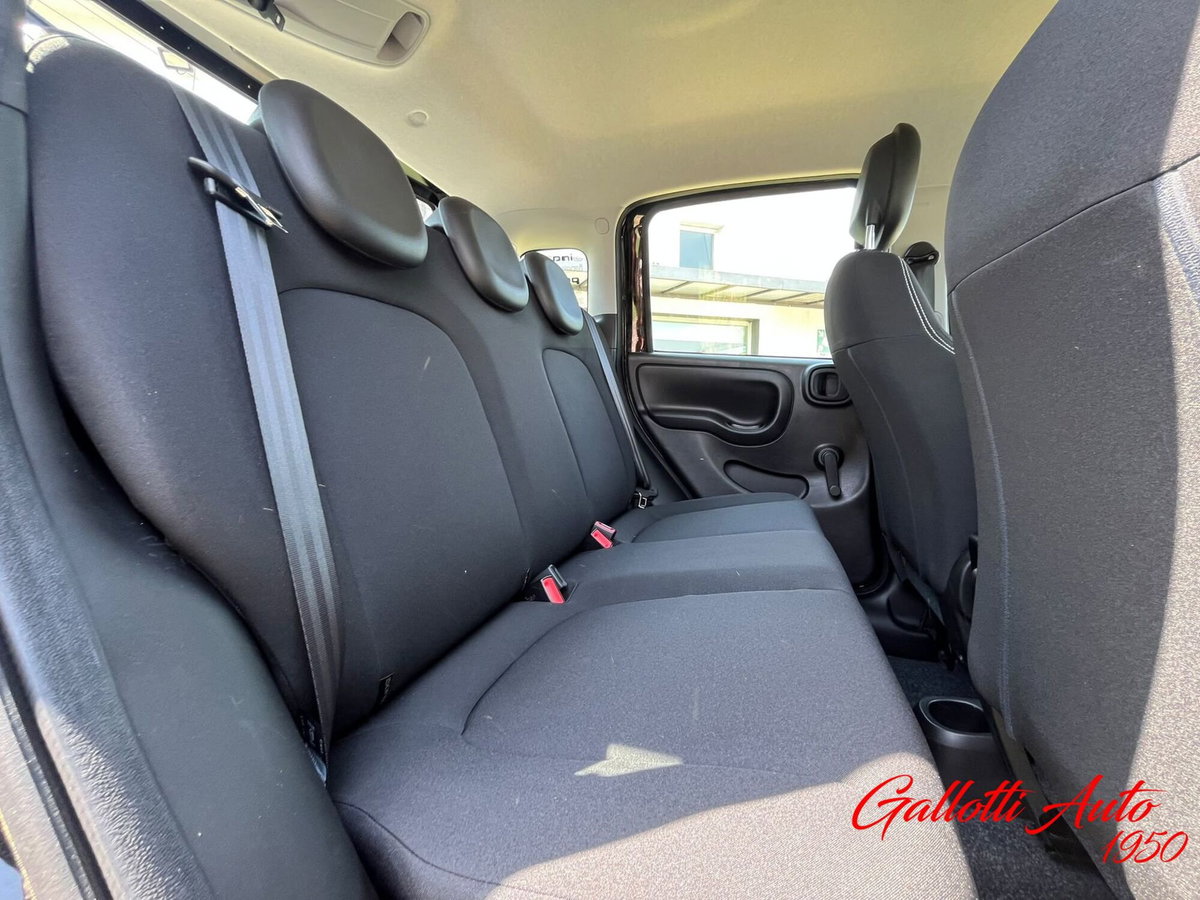 Fiat Pandina 1.0 firefly hybrid Icon s&s 65cv (14)