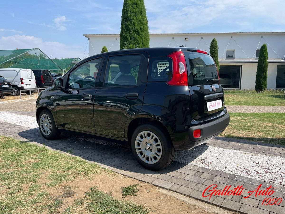 Fiat Pandina 1.0 firefly hybrid Icon s&s 65cv (2)